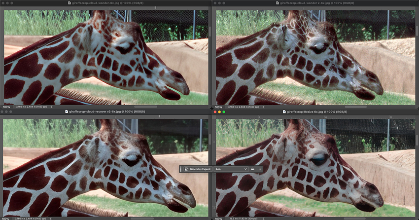 Screenshot 2026-01-27 at 6.41.34 PM