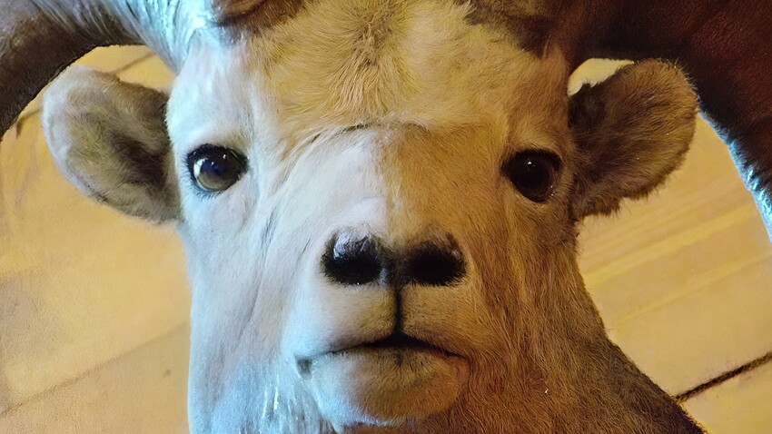 Screenshot 2024-11-21 at 6.29.11 PM