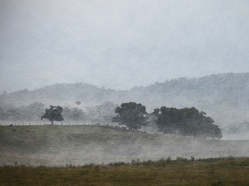 a%20cattle%20fence%20fog%2012%20may%202021