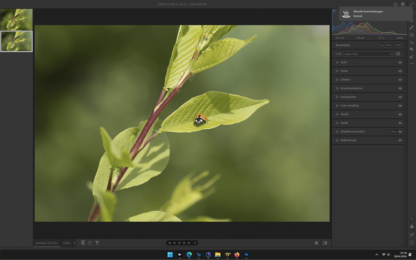 Screenshot 2024-04-28 211651