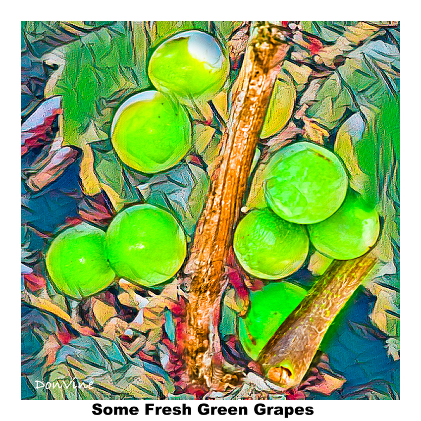 _()_110621_141000_6287-XTIQ