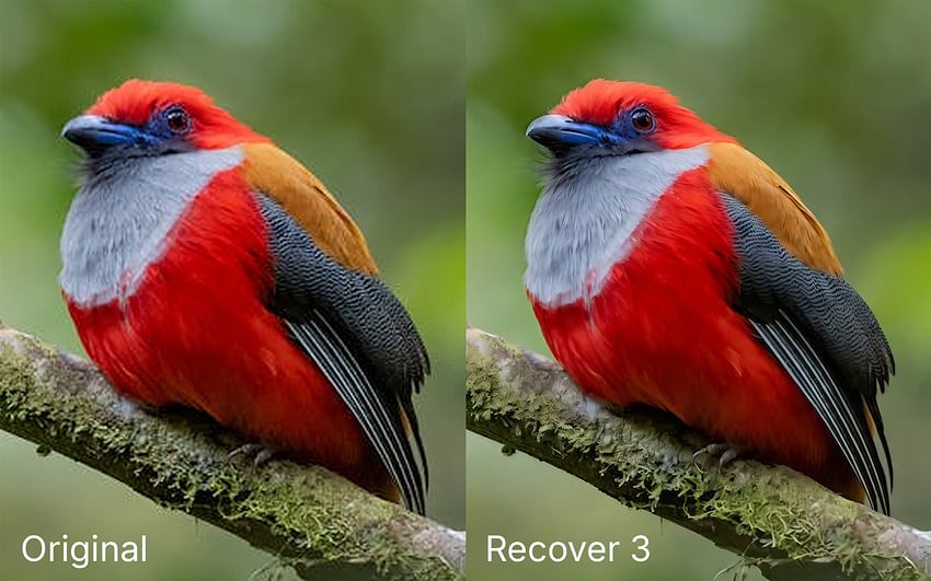 Recover3-Comparison