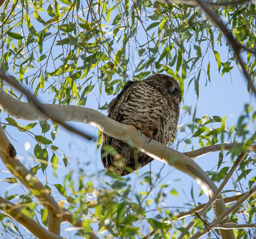 DSC_2827