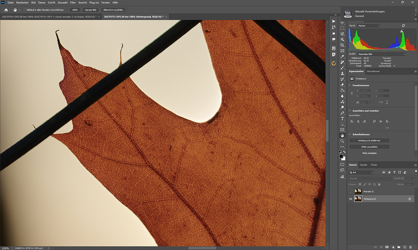 Screenshot 2026-01-22 210757