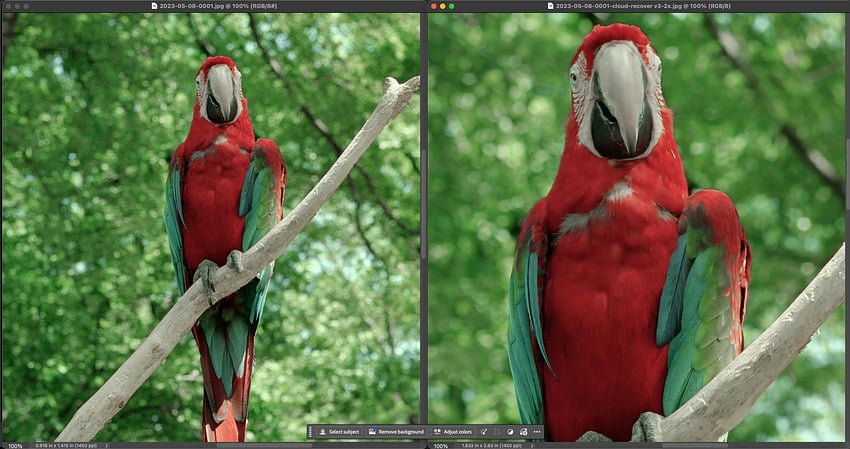 Screenshot 2026-01-24 at 1.52.52 PM