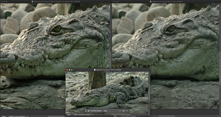 Screenshot 2026-01-25 at 12.30.24 PM