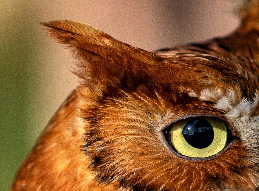 Screenshot 2026-01-22 at 5.03.48 PM