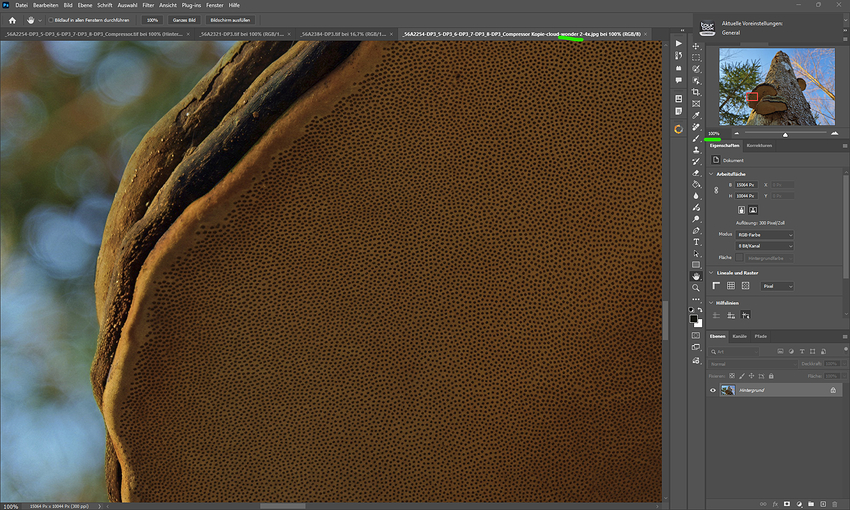 Screenshot 2026-02-06 213311