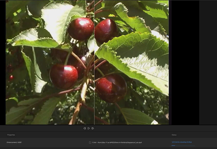 Screenshot 2025-12-20 123359