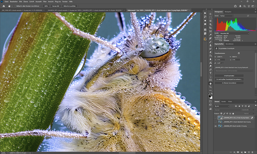 Topaz Gigapixel v1.1.0-b0 - Page 2 - Topaz Gigapixel Open Beta