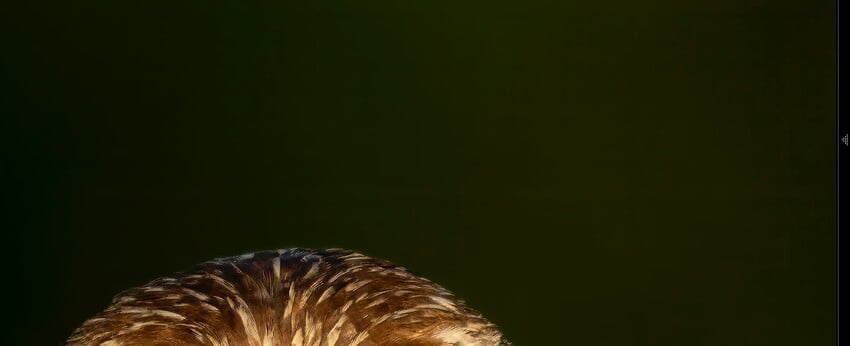 Screenshot 2024-06-14 at 9.53.51 AM