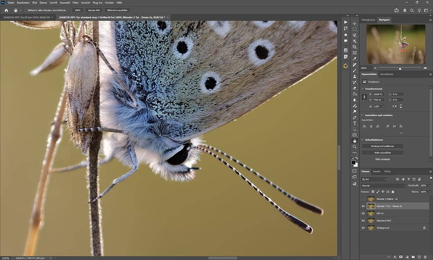 Screenshot 2026-01-23 235225