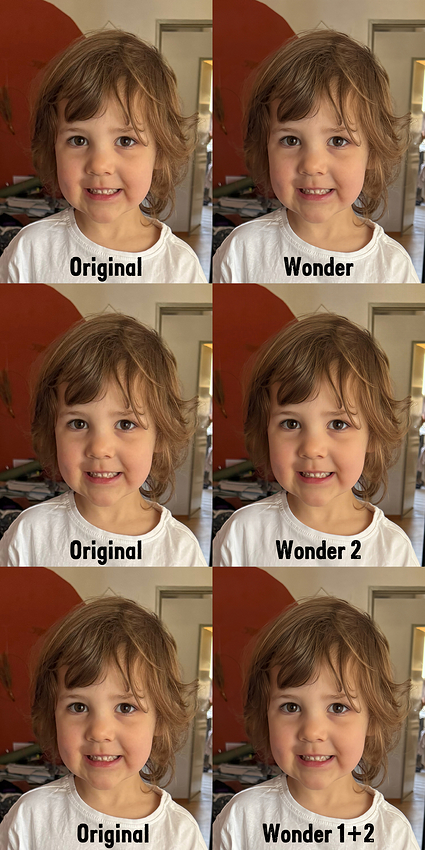 Topaz Wonder Models
