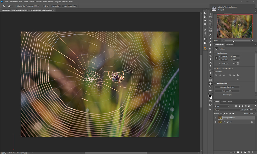 Screenshot 2026-03-14 215023