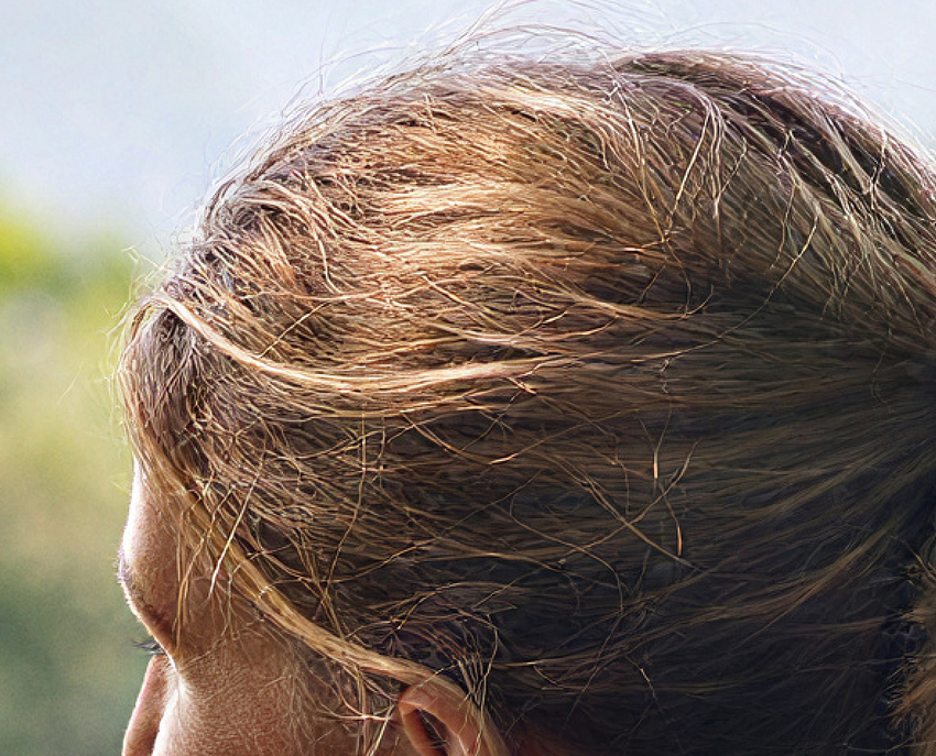Hairs_2