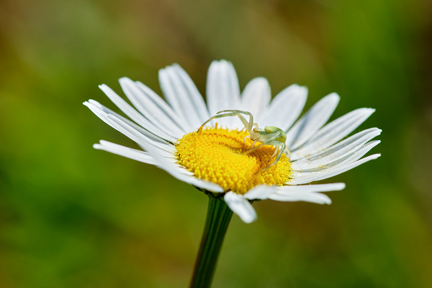 161_106A7624_1-Fin-4