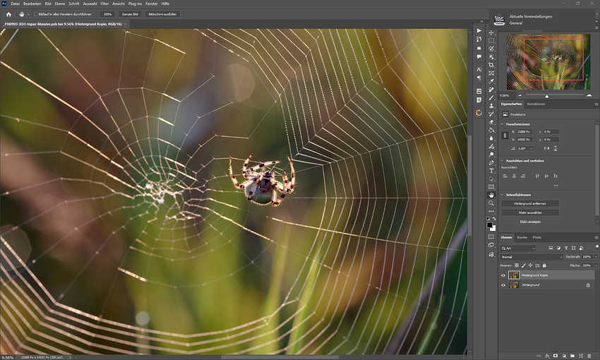 Screenshot 2026-03-14 215033