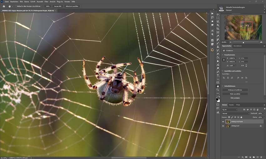 Screenshot 2026-03-14 215044