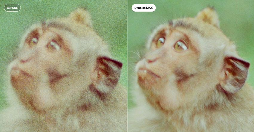 Before/After