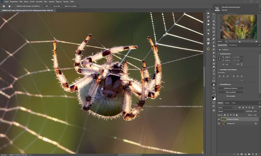 Screenshot 2026-03-14 215053