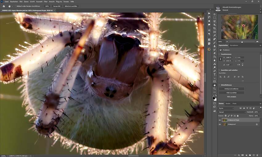 Screenshot 2026-03-14 215119