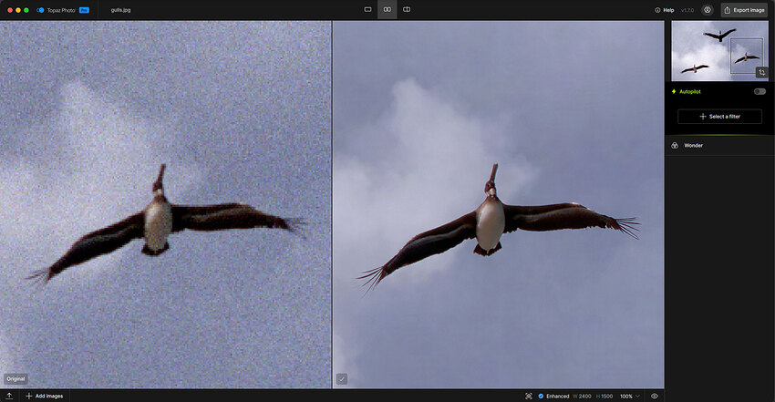 gullscomp