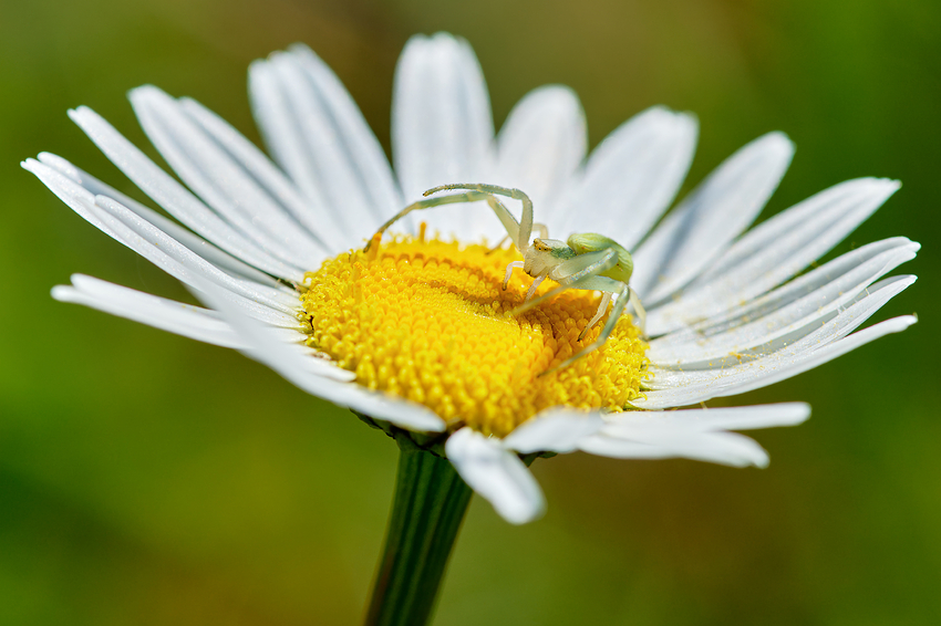 161_106A7624_1-Fin-3