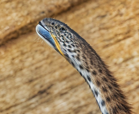 Screenshot 2024-11-21 at 6.30.56 PM