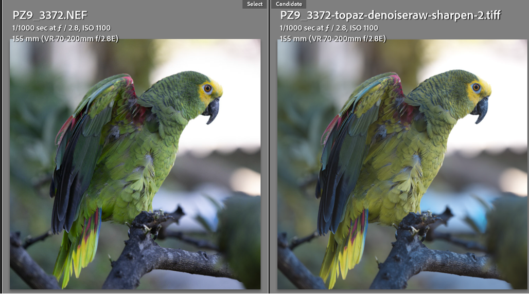 V1.4.0 and now v1.4.1 files are saving with a strong magenta