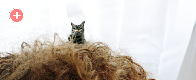 Screenshot 2024-11-24 at 6.22.14 PM