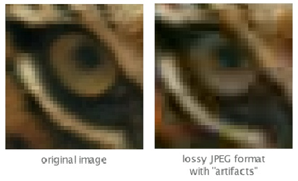 JPEG-compressed-color-image-showing-blocking-artifacts-in-the-right-image-portion