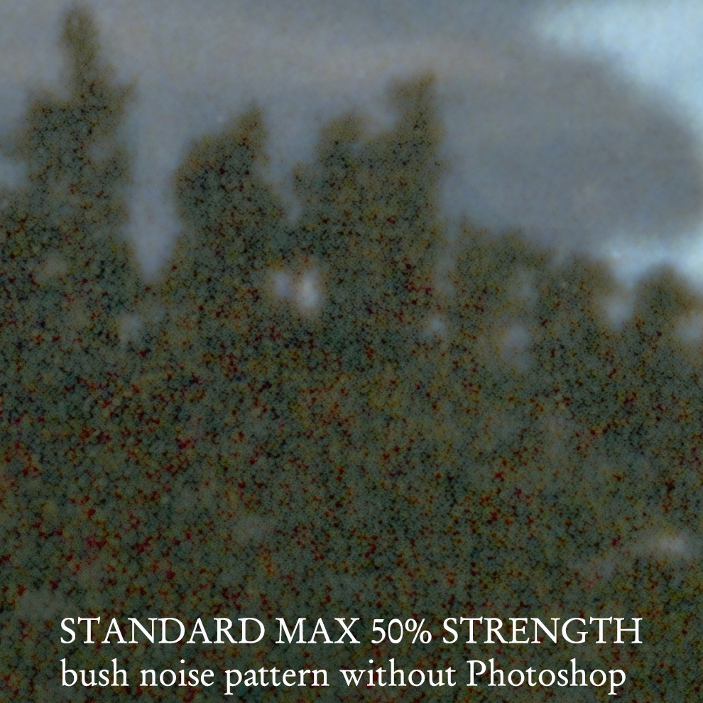 STANDARD MAX 50% STRENGTH bush noise pattern without Photoshop
