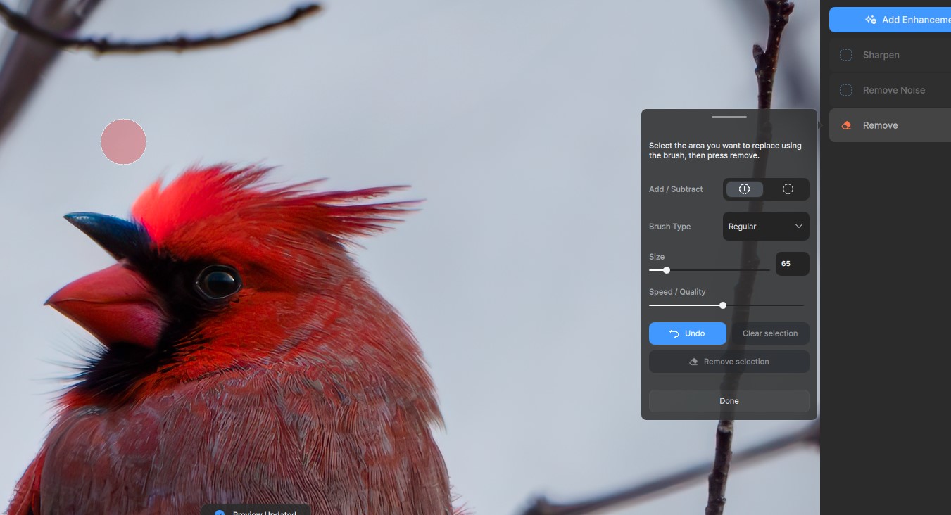 Remove Tool - Bugs and Issues - Topaz Community