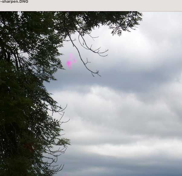 Screenshot 2023-08-07 at 6.54.21