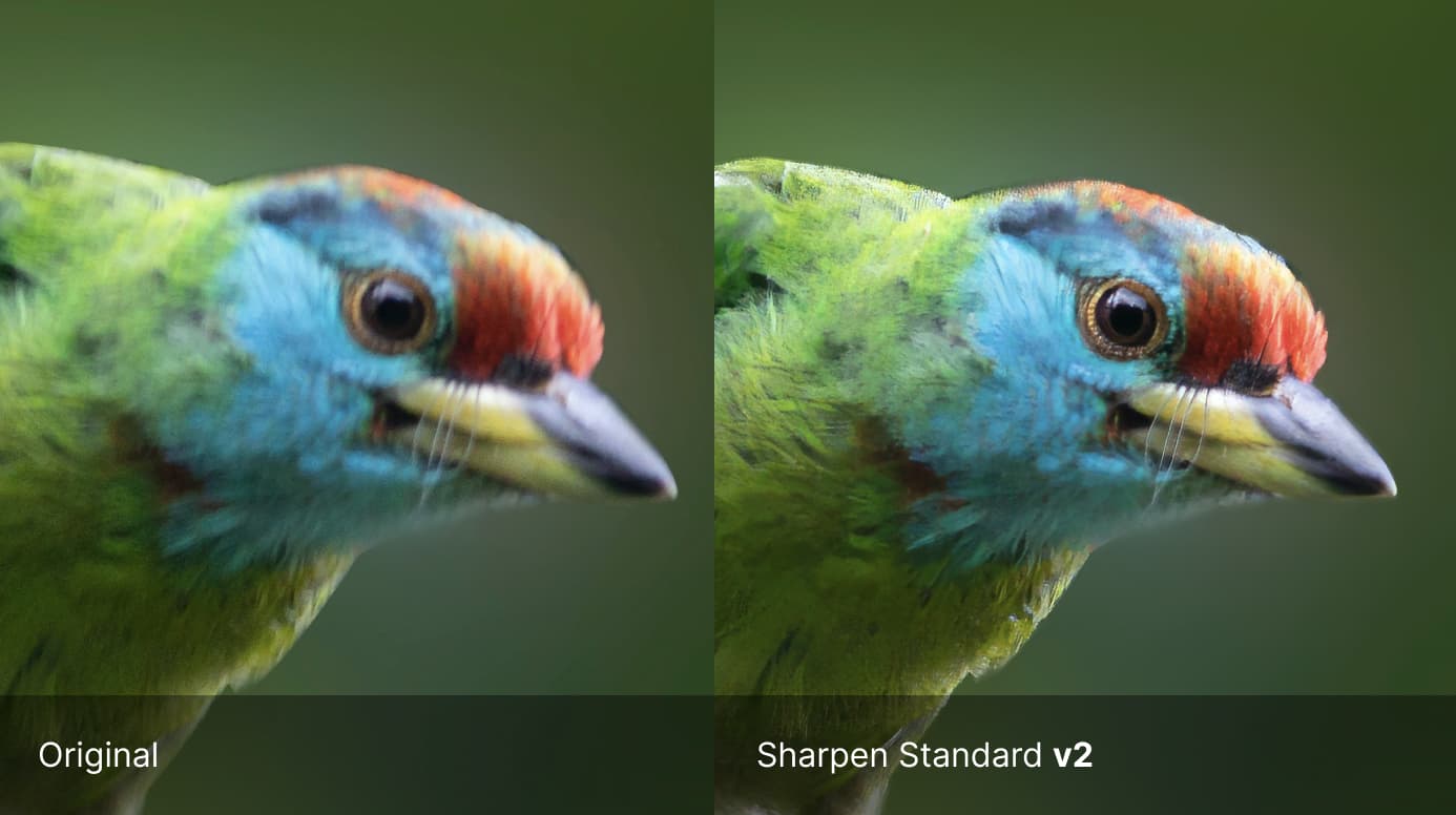 Topaz launched the new Photo AI 2.0 (get a $40 discount now) –  sonyalpharumors