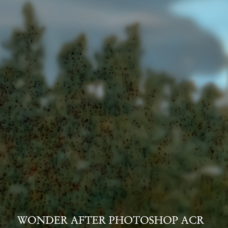 WONDER AFTER PHOTOSHOP DETAIL