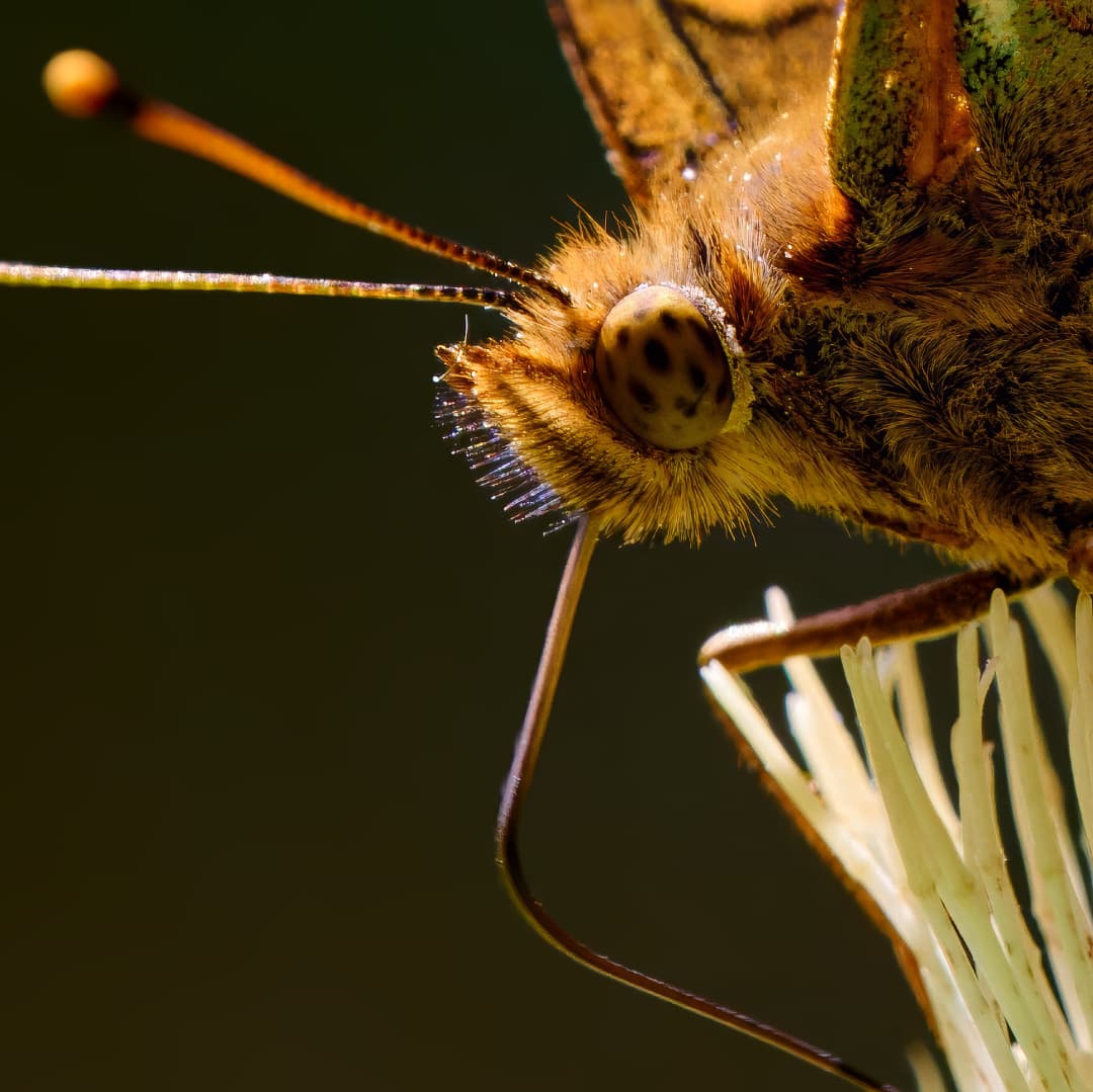 DX_2819_DPXD__231-enhance-2x-sharpen3