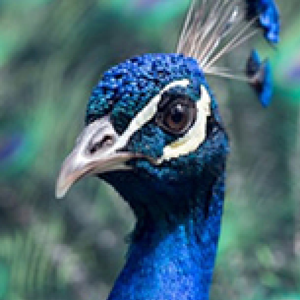 Screenshot 2025-09-16 at 3.12.21 PM