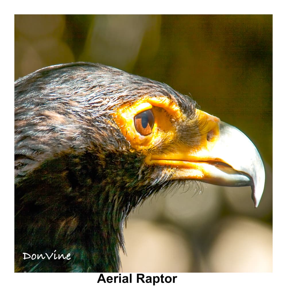 _()_050403_051519_2520-XTIQ