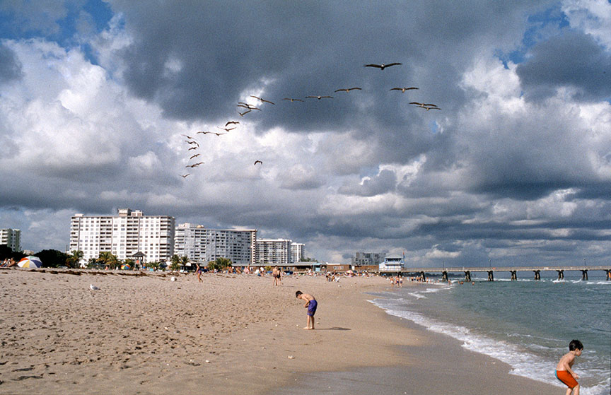 beachorig